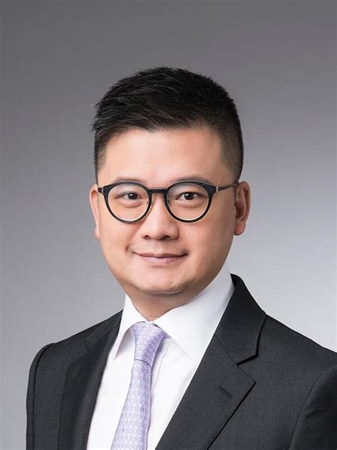 dao casino linkedin ceo - Hans Wong .